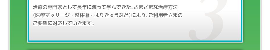 治療の専門家として長年に渡って学んできた、さまざまな治療方法（医療マッサージ・整体術・はりきゅうなど）により、ご利用者さまのご要望に対応していきます。